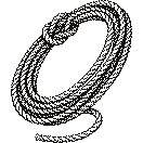 A coiled lariat